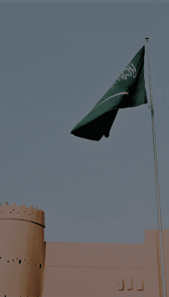 المحتوى المحلي