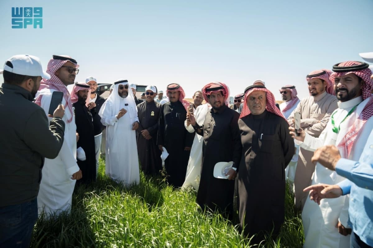 «استدامة» تنظم يوما حقليا لدعم التحول نحو الأعلاف الموسمية